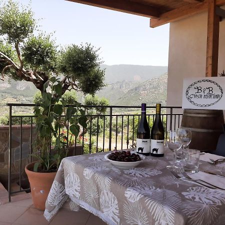 B&B Casa Martina Giungano ภายนอก รูปภาพ