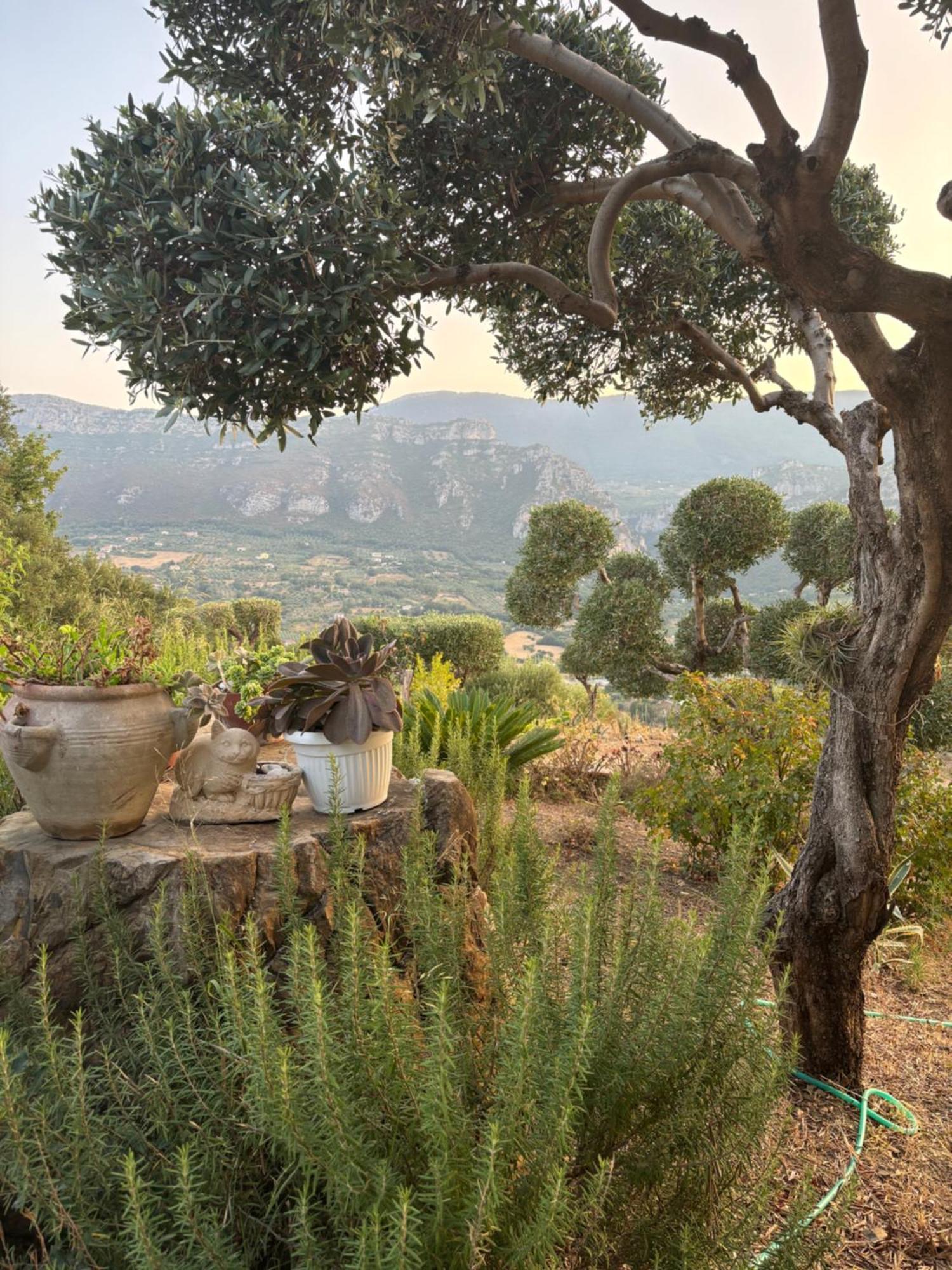 B&B Casa Martina Giungano ภายนอก รูปภาพ