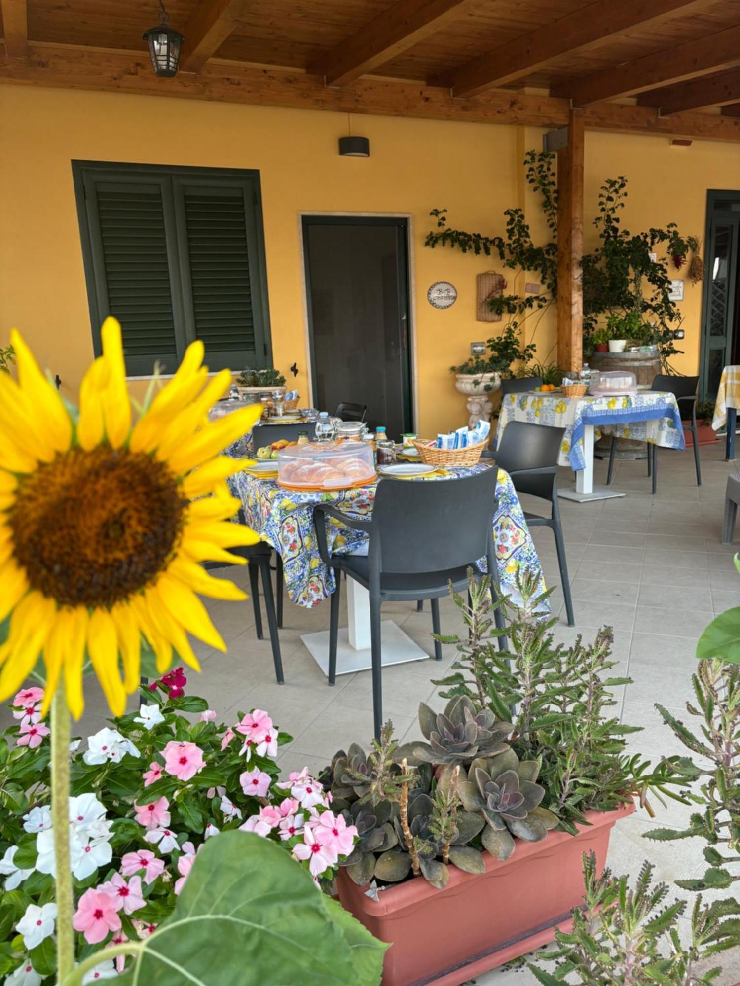 B&B Casa Martina Giungano ภายนอก รูปภาพ