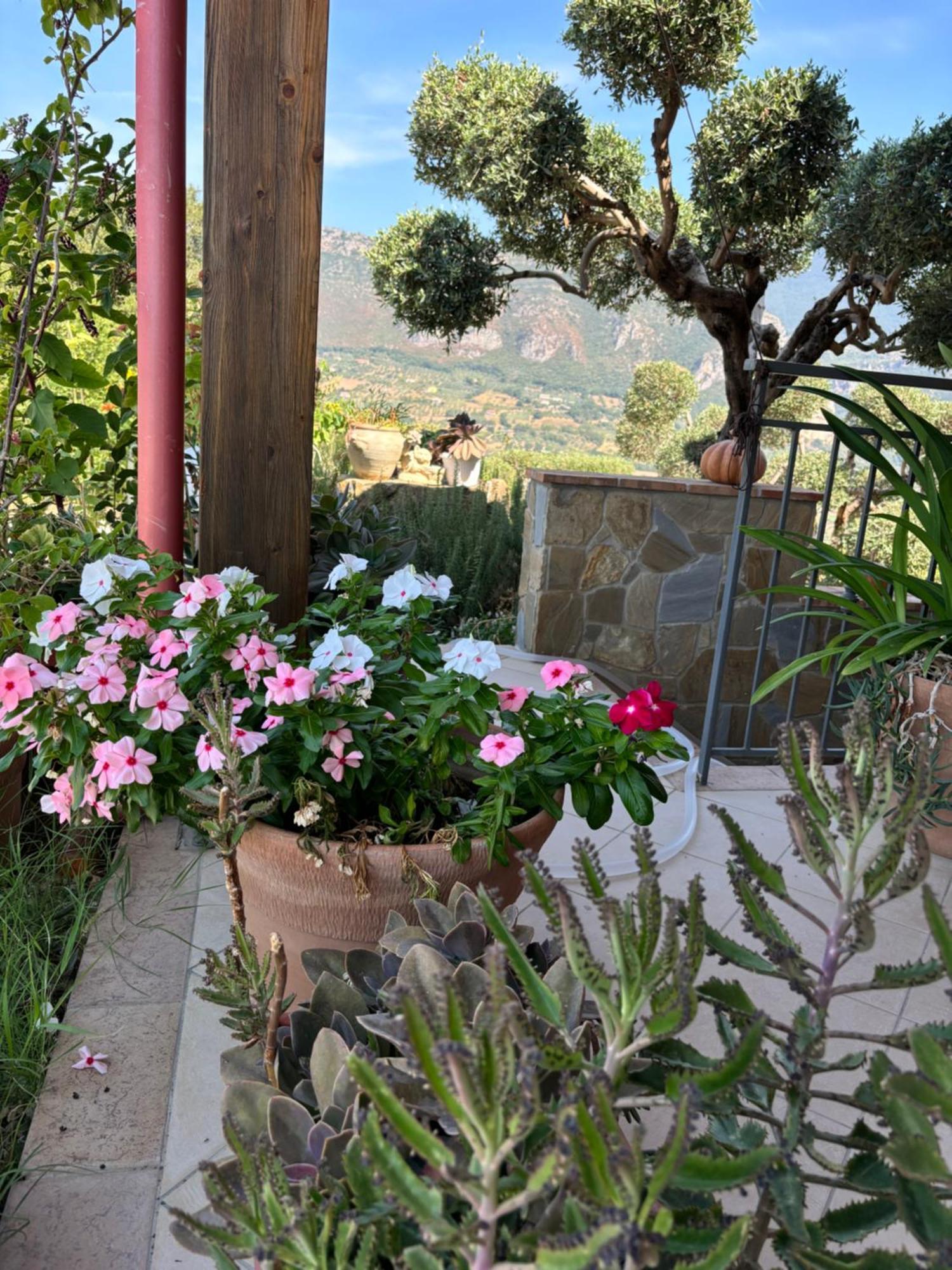 B&B Casa Martina Giungano ภายนอก รูปภาพ