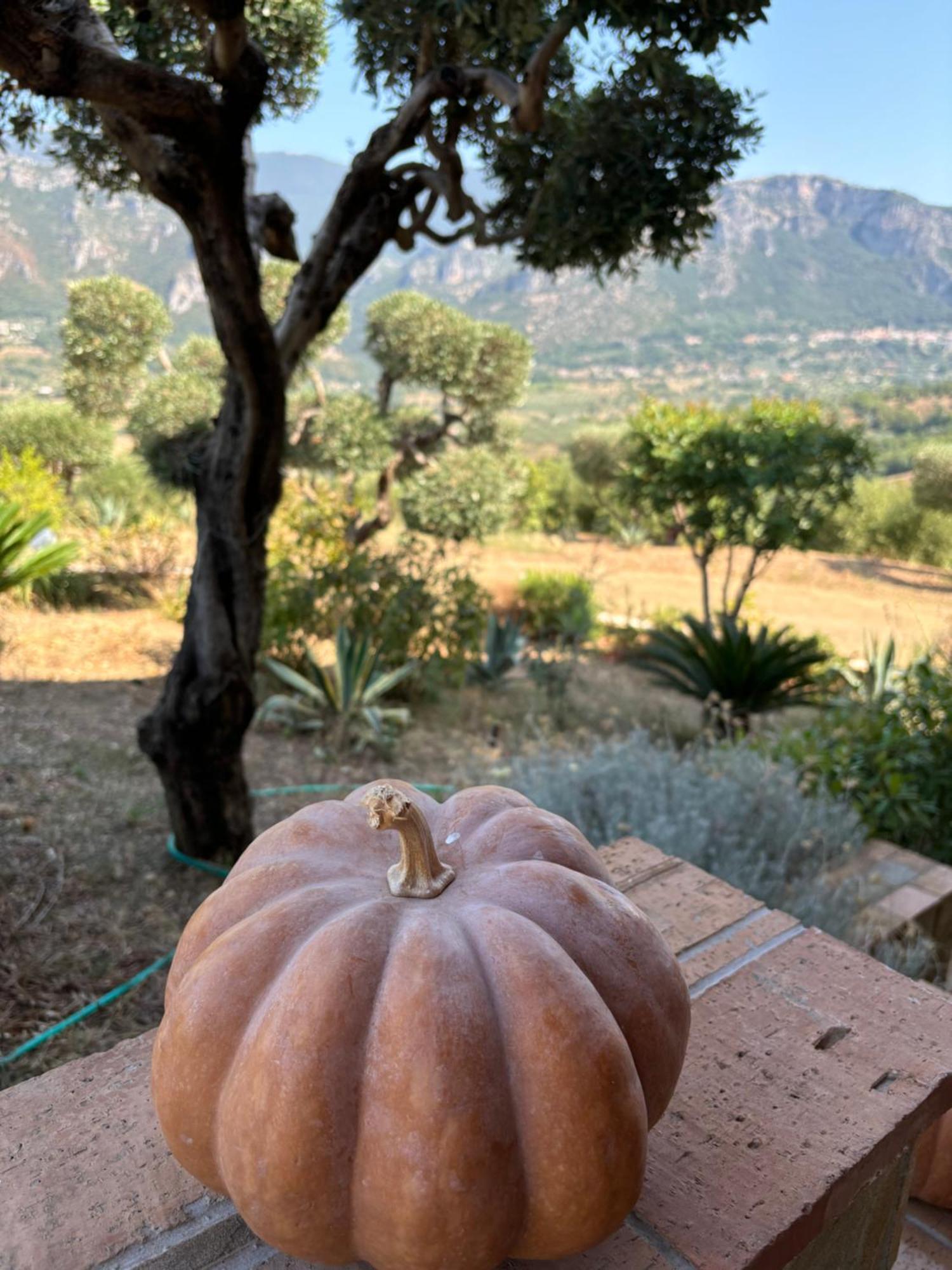 B&B Casa Martina Giungano ภายนอก รูปภาพ