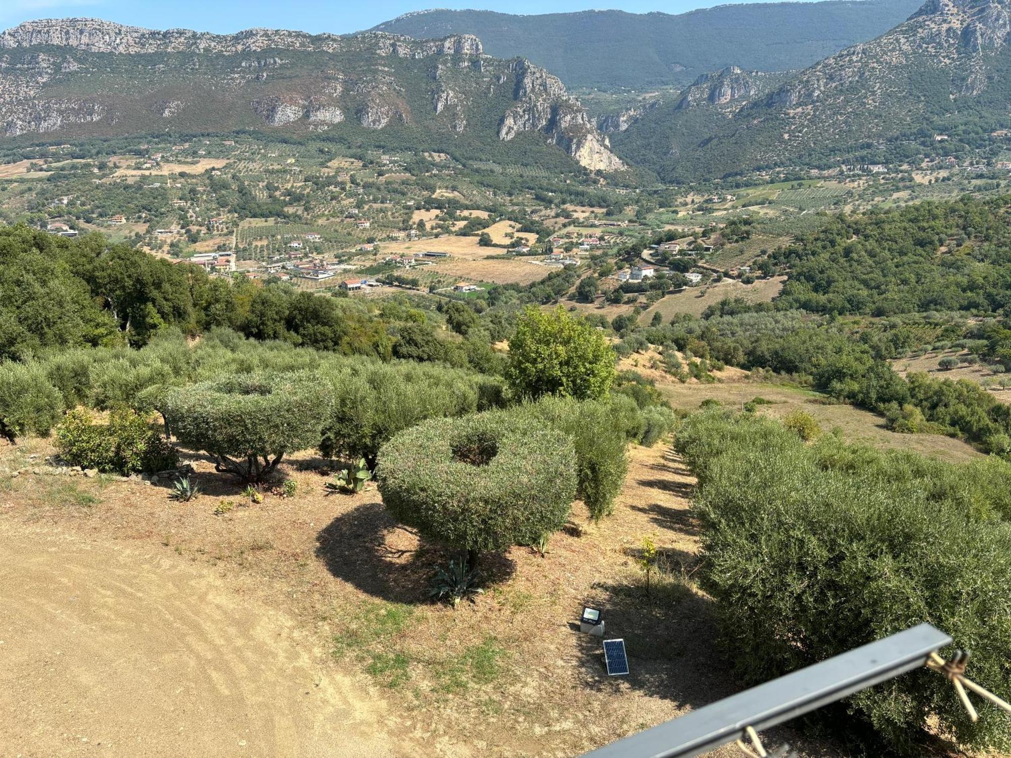 B&B Casa Martina Giungano ภายนอก รูปภาพ