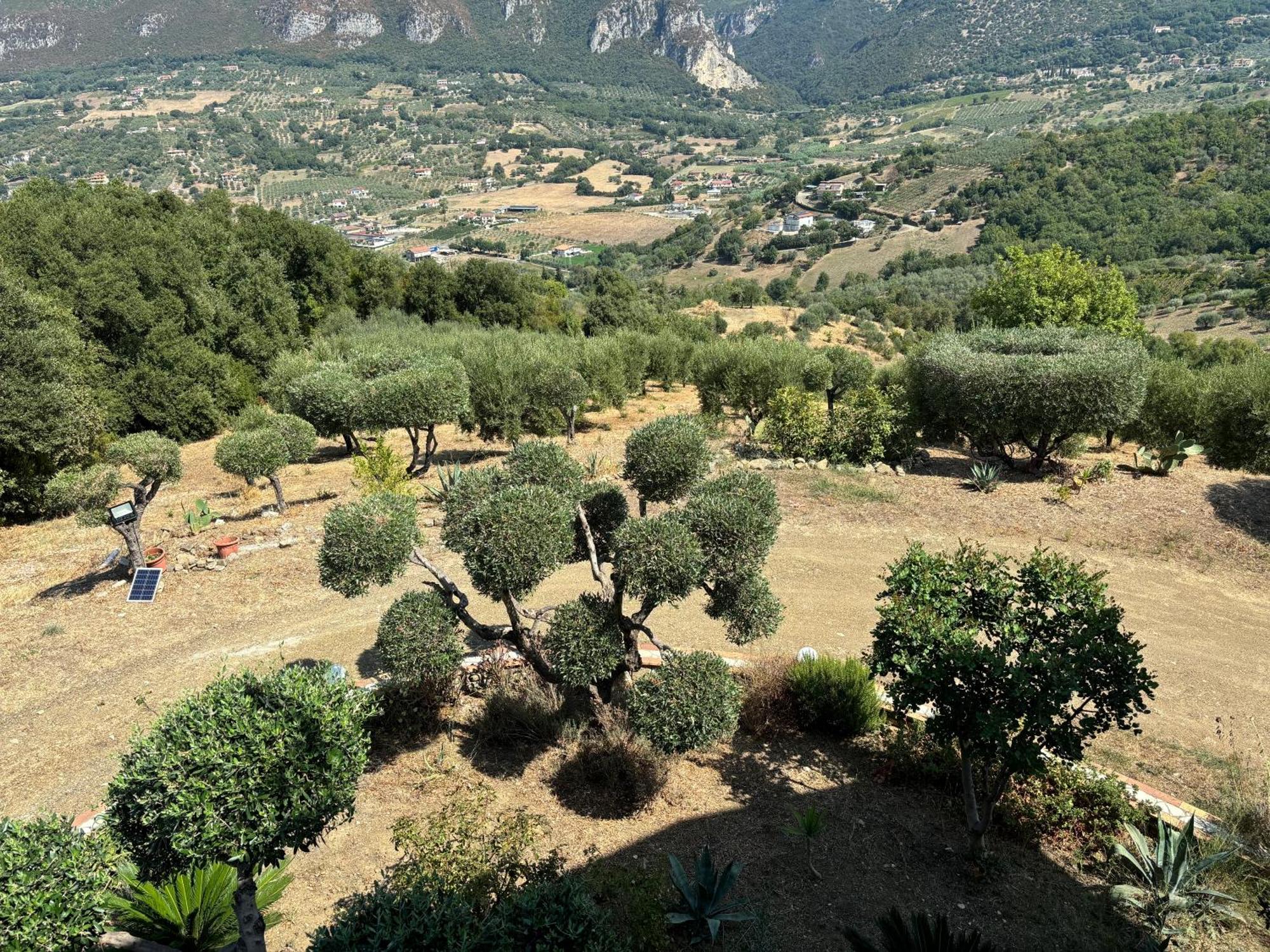 B&B Casa Martina Giungano ภายนอก รูปภาพ